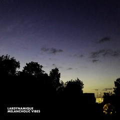 Lardynamique - Melancholic Vibes
