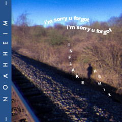 Noahheim - Im Sorry U Forgot (Inflake Remix)