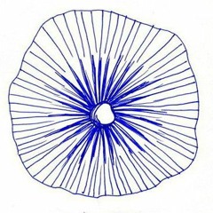 Bluemelos feat Larissa e Ricardo.m4a