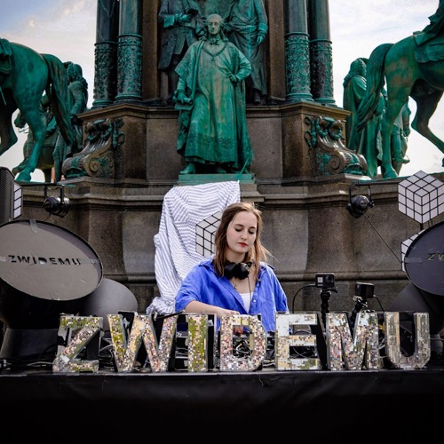 house set @zwidemu