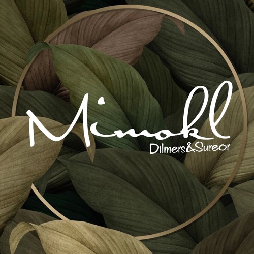 Mimokl -Dilmers