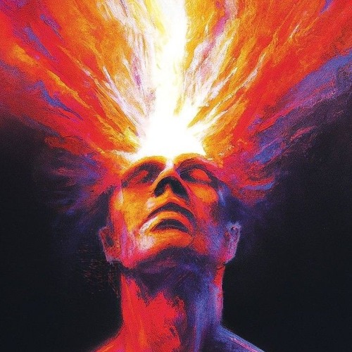 mind wav.