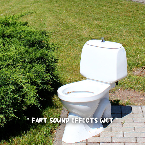 Stream Fart Sound Effect Listen to * fart sound effects wet