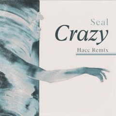 Seal - Crazy (Hacc Remix) *filtered vocal for SC copy