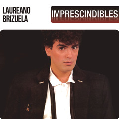 Laureano Brizuela☆Estaciones Laureano Brizuela – Estaciones – Cassette (Album), 1997