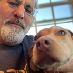Dog and harp.wav