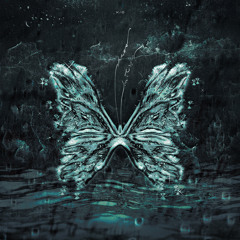 Chaos Butterfly