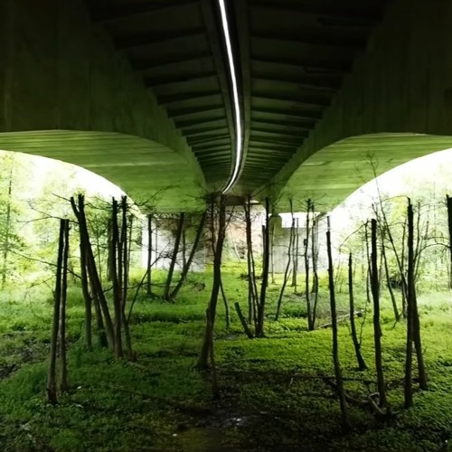 daleko będę Prod.Cmaz