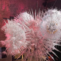 mel-o - i wish you could see