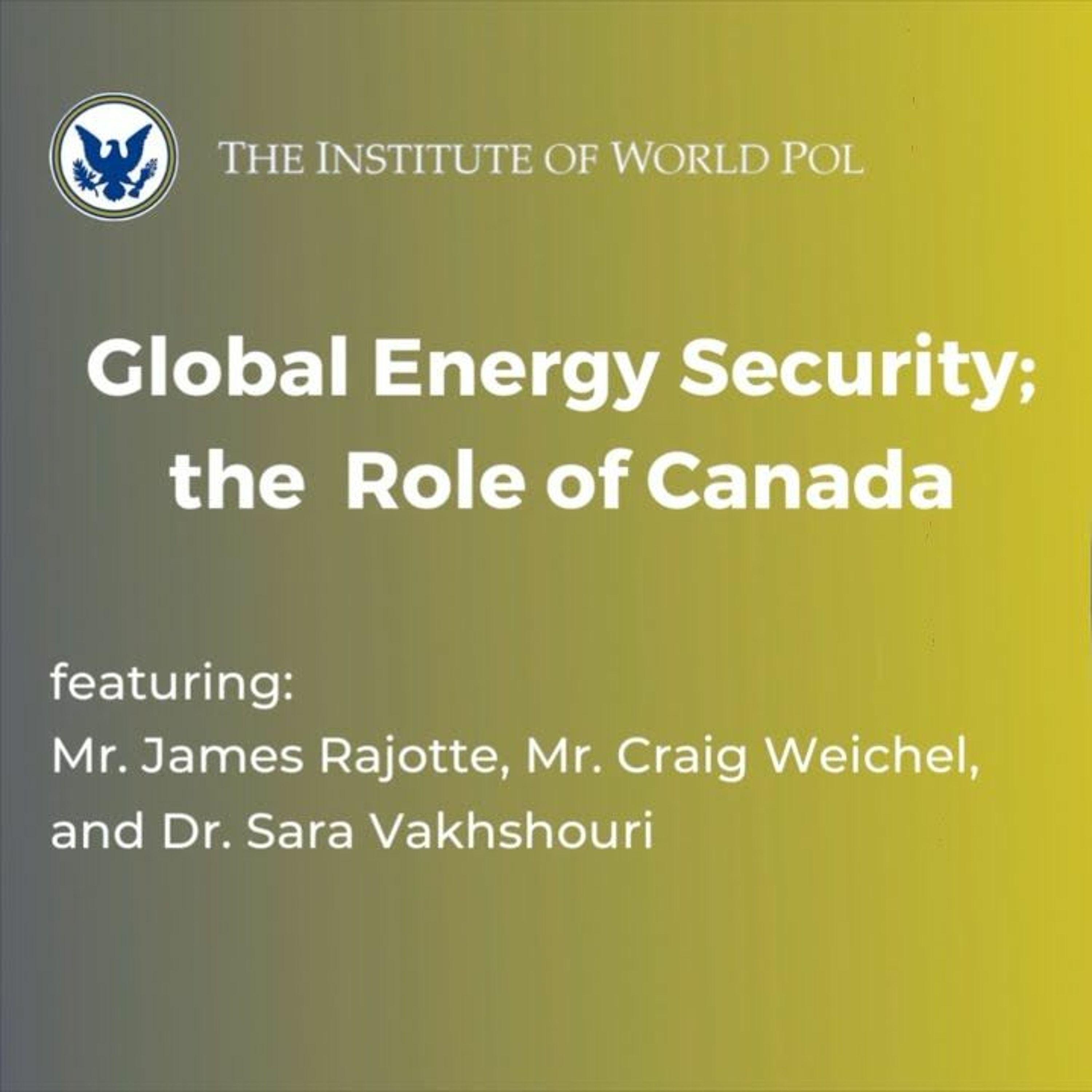 The Institute of World Politics