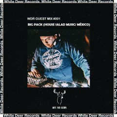 WDR Guest Mix #001 - Big Pack