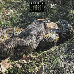 rattlesnake