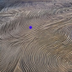 Exploring Inner Landscapes