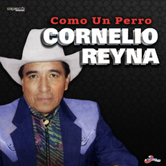 La Criminal