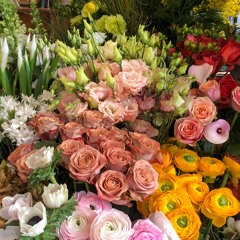 بيني وبينه - أصيل