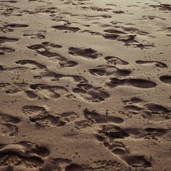 Pluto - Day 01 Track A