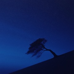 nighttime.