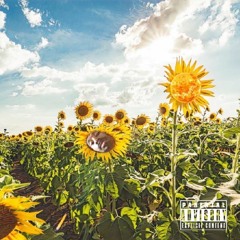 Sun Flower By Malaman (prod. Kudesai)