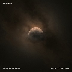 Moonlit Reverie (Sine Remix)