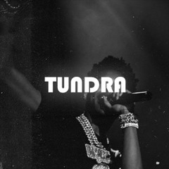 ''Tundra'' 165 Emin | Nardo Wick x Future x Lil Durk Type Beat