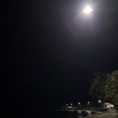 we all die (poppy ozu)