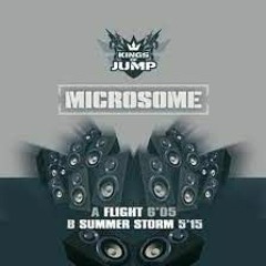 Microsome - Flight ( LEN Flash Your Back Refix 2024 )