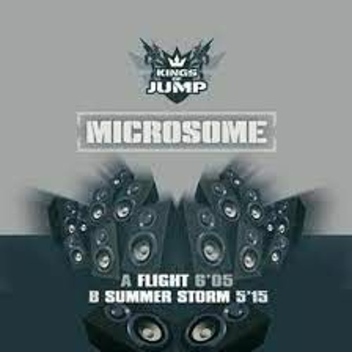 Microsome - Flight ( LEN Flash Your Back Refix 2024 )