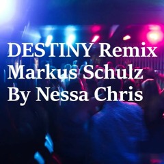 Destiny REMIX (Markus Schulz)