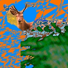 The Canals Of Vinicesin