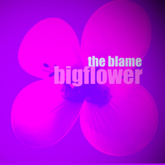 bigflower - the blame