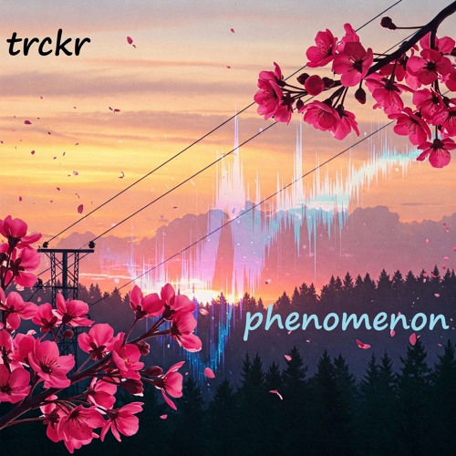 trckr - phenomenon
