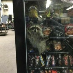 🆂🆄🅽🆂🅴🆃