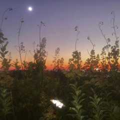 siempre𓂃་༘⚭࿐solo