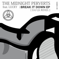 The Midnight Perverts Soundsystem - Break It Down (DANJA Remix)