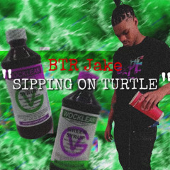 Sippin On Turtle