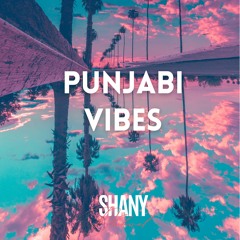 Punjabi Vibes (ShanyDhaliwal)