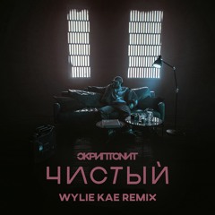 Скриптонит - Чистый (Wylie Kae Remix)