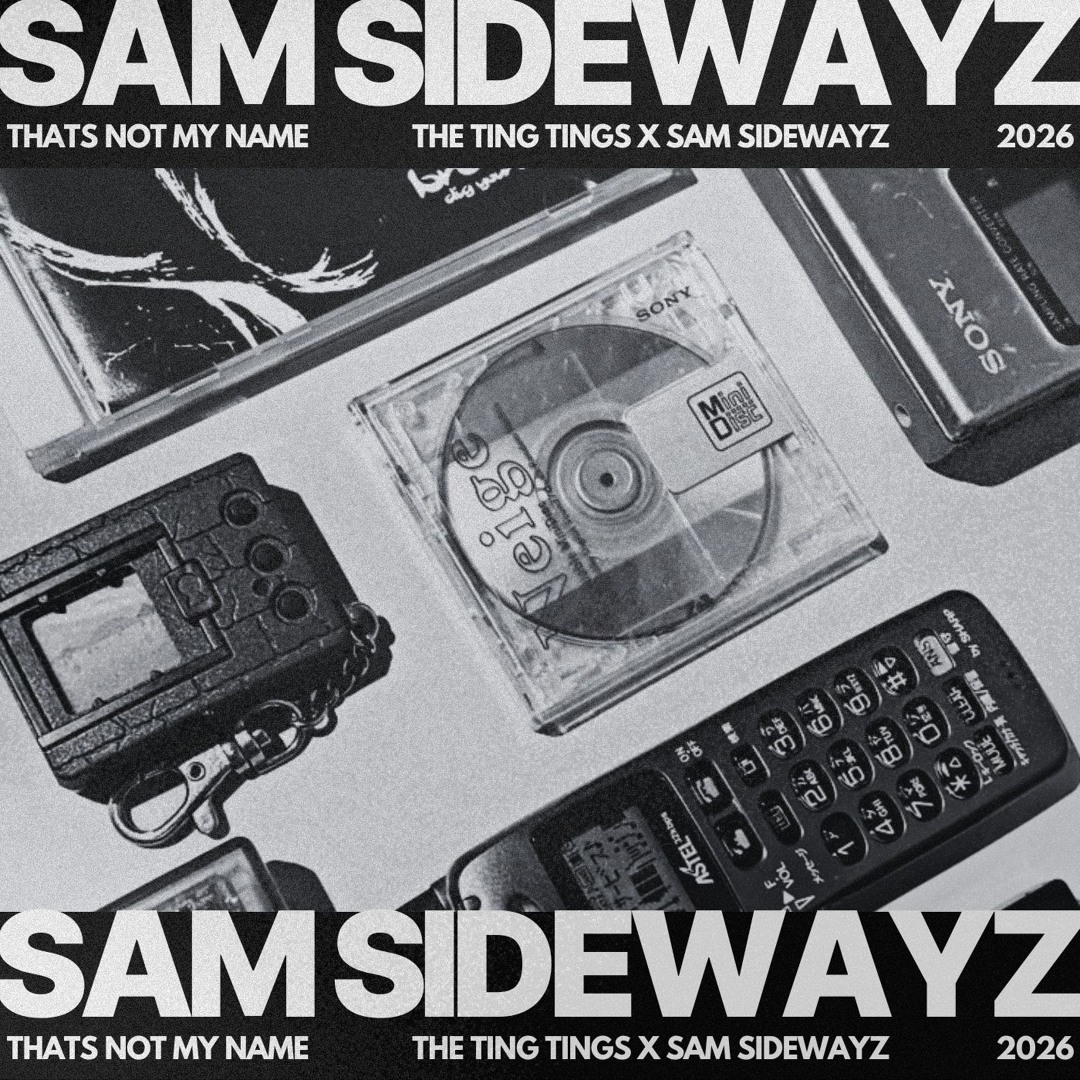 Stream The Ting Tings - That's Not My Name (Sam Sidewayz Remix