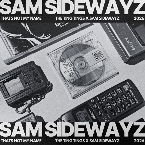 Stream The Ting Tings - That's Not My Name (Sam Sidewayz Remix