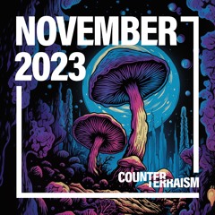 Counterterraism: November 2023