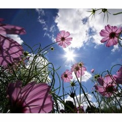 Konstantina Pal •• As the flowers grow .. @ March 2023