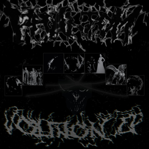 Non-compos-mentis-klip