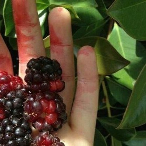 Stream bust by lomelda by adelaide Listen online for free on SoundCloud