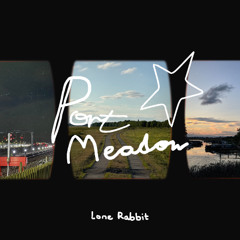 Port Meadow