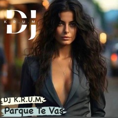 Porque Te Vas // Drop It Like It's Hot // LHEURE ( Dj K.R.U.M. mashup 2024 )