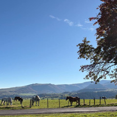 порох w/крутые тапки