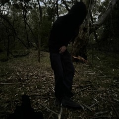 trulyphree - dust (1limona1 + anx1ous) [slump audios exclusive]