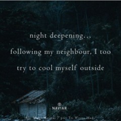 Deepening night (Naviar 547)