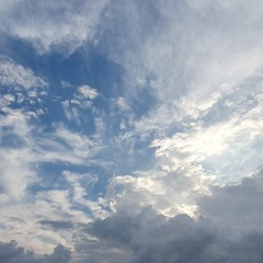 Bokko Dance - Free Storm