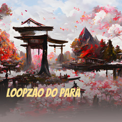Loopzão do Pará
